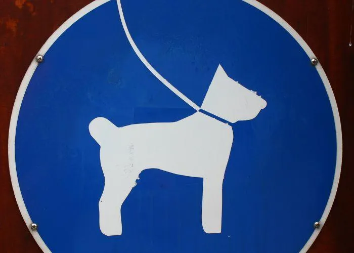dog friendly restaurants near me